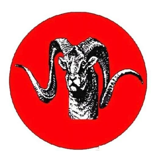 FWO - Logo