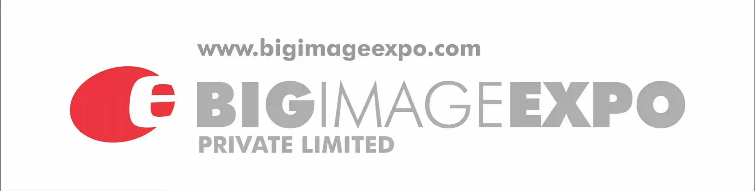 Big Image Expo Logo